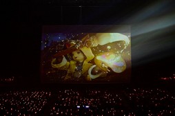 ꡼ No.015Υͥ / Υҥǲͥ꡼ʤɤ줿THE PRIMALS Live in Japan - Darkest Before Dawnץݡ