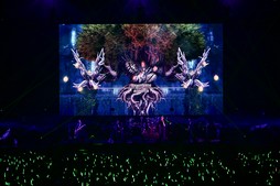 ꡼ No.024Υͥ / Υҥǲͥ꡼ʤɤ줿THE PRIMALS Live in Japan - Darkest Before Dawnץݡ