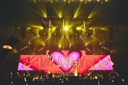 ꡼ No.026Υͥ / Υҥǲͥ꡼ʤɤ줿THE PRIMALS Live in Japan - Darkest Before Dawnץݡ