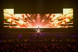 ꡼ No.036Υͥ / Υҥǲͥ꡼ʤɤ줿THE PRIMALS Live in Japan - Darkest Before Dawnץݡ