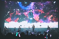 ꡼ No.041Υͥ / Υҥǲͥ꡼ʤɤ줿THE PRIMALS Live in Japan - Darkest Before Dawnץݡ