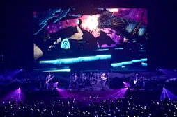 ꡼ No.042Υͥ / Υҥǲͥ꡼ʤɤ줿THE PRIMALS Live in Japan - Darkest Before Dawnץݡ