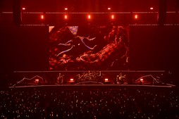 ꡼ No.051Υͥ / Υҥǲͥ꡼ʤɤ줿THE PRIMALS Live in Japan - Darkest Before Dawnץݡ