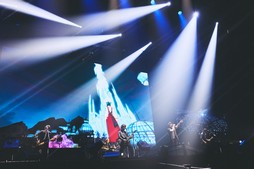 ꡼ No.053Υͥ / Υҥǲͥ꡼ʤɤ줿THE PRIMALS Live in Japan - Darkest Before Dawnץݡ