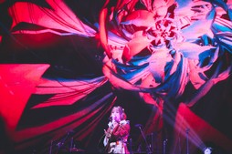 ꡼ No.089Υͥ / Υҥǲͥ꡼ʤɤ줿THE PRIMALS Live in Japan - Darkest Before Dawnץݡ