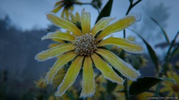 画像ギャラリー No.105のサムネイル画像 / 最新拡張パッケージ「ファイナルファンタジーXIV：白銀のワンダラー（探求者）」が発表に。2027年1月のリリース