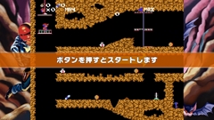 ꡼ No.005 | Tozai Inc.Υå¼᤬֥ڥ󥫡쥯פˤޤĤȤäƤ΢ä4GamerʹƤ줿