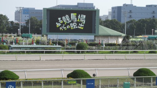 ꡼ No.006Υͥ / Ͼ˱줿ĩᡣ100ͤWinning PostפȥܤꥢæХ֤붥Ͼ줫æСץǥХåݡ