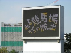 ꡼ No.008Υͥ / Ͼ˱줿ĩᡣ100ͤWinning PostפȥܤꥢæХ֤붥Ͼ줫æСץǥХåݡ