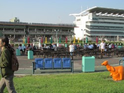 ꡼ No.009Υͥ / Ͼ˱줿ĩᡣ100ͤWinning PostפȥܤꥢæХ֤붥Ͼ줫æСץǥХåݡ