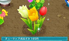 ꡼ No.005 | ֥ޡȥץǤ620ȯ䡣ǲİʪƤ֥ǥ˥󥰡פߥ˥ȤƳڤפʤɤ