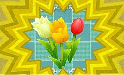 ꡼ No.006 | ֥ޡȥץǤ620ȯ䡣ǲİʪƤ֥ǥ˥󥰡פߥ˥ȤƳڤפʤɤ