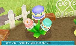 ꡼ No.008 | ֥ޡȥץǤ620ȯ䡣ǲİʪƤ֥ǥ˥󥰡פߥ˥ȤƳڤפʤɤ