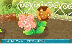 ꡼ No.009 | ֥ޡȥץǤ620ȯ䡣ǲİʪƤ֥ǥ˥󥰡פߥ˥ȤƳڤפʤɤ