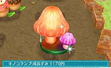 ꡼ No.011 | ֥ޡȥץǤ620ȯ䡣ǲİʪƤ֥ǥ˥󥰡פߥ˥ȤƳڤפʤɤ