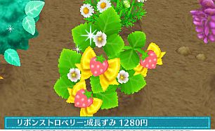 ꡼ No.017 | ֥ޡȥץǤ620ȯ䡣ǲİʪƤ֥ǥ˥󥰡פߥ˥ȤƳڤפʤɤ