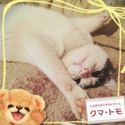 ꡼ No.001 | ֥ޡȥפθ꥿åץե륿ץMy365פۿ