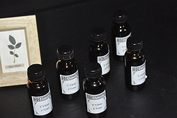 ꡼ No.039Υͥ / 祿ȤζݺƤӡ֥Хϥ ե S.T.A.R.S.פ˥塼롣˥塼ϤŸܤڤ