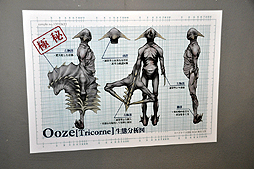 ꡼ No.012Υͥ / 20˥Ȥ֥塼ƥ󥰥С EAߥХϥ 2ndפ­θꥸʥ˥塼Ϥ󡤥ʥå°Υ饹ȥ졼åȤо