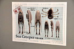 ꡼ No.013Υͥ / 20˥Ȥ֥塼ƥ󥰥С EAߥХϥ 2ndפ­θꥸʥ˥塼Ϥ󡤥ʥå°Υ饹ȥ졼åȤо