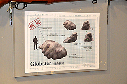 ꡼ No.014Υͥ / 20˥Ȥ֥塼ƥ󥰥С EAߥХϥ 2ndפ­θꥸʥ˥塼Ϥ󡤥ʥå°Υ饹ȥ졼åȤо