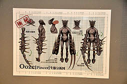 ꡼ No.015Υͥ / 20˥Ȥ֥塼ƥ󥰥С EAߥХϥ 2ndפ­θꥸʥ˥塼Ϥ󡤥ʥå°Υ饹ȥ졼åȤо