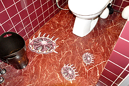 ꡼ No.016Υͥ / 20˥Ȥ֥塼ƥ󥰥С EAߥХϥ 2ndפ­θꥸʥ˥塼Ϥ󡤥ʥå°Υ饹ȥ졼åȤо