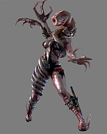 ꡼ No.012 | ֥Хϥ ٥졼 ١ ǥסо쥭Ҳ𤹤PVȯDLC餫