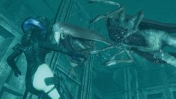 ꡼ No.012Υͥ / ֥Хϥ ٥졼 ١ ǥץѥåפեå䡤쥤ɥ⡼ɤ˻魯ɲå饯Ҳ