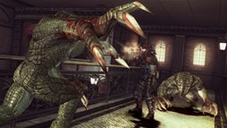 ꡼ No.014Υͥ / ֥Хϥ ٥졼 ١ ǥץѥåפեå䡤쥤ɥ⡼ɤ˻魯ɲå饯Ҳ