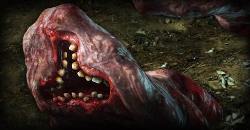 ꡼ No.003 | ֥Хϥ ٥졼 UEס8γť٥Ⱦ