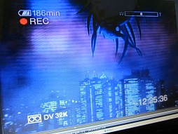 ꡼ No.002 | ܱġסֶζܱ൪פΤ뺣潩˧᤬4Gamer˽о졣Ʊ᤬ݤ륹ޥ۸ɥХȥ֥饤פ̥Ϥ򤿤äפʹƤߤ