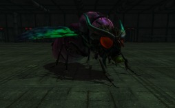 ꡼ No.002 | ֵ¡סåץǡȤǿ󥸥֤ߤ ˺ѡפֽդ緿åץǡȡפο餫