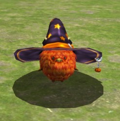 ꡼ No.005 | ֵ¡סϥ󥤥٥ȡ֥ȥåorߥפ»ܡ