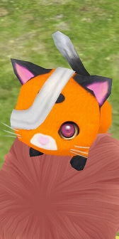 ꡼ No.007 | ֵ¡ס֤פȡ֥⥿פΥϥСо줹륤٥Ȥ