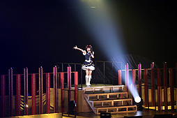 ���������꡼ No.036�Υ���ͥ������ / ¿�̤ʱ�Фȥѥե����ޥ󥹤ǲ���̥λ��������THE IDOLM@STER MILLION LIVE! 2ndLIVE ENJOY H@RMONY!�פ����ͤ��ݡ���