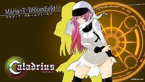 ꡼ No.014Υͥ / ֥ɥꥦCaladriusˡ׸ȤǥơBGMץȡ饯̥ꥸʥɻ9
