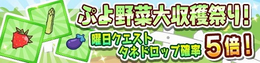 画像ギャラリー No.007のサムネイル画像 / 「ぷよぷよ!!クエスト」，“とことん夏ぷよ!キャンペーン”が開催