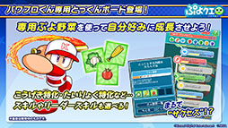 ꡼ No.012Υͥ / ֤פפ!!ȡפȡּ¶ѥեץפΥܤ913˥ȡо쥭ꥤ٥Ⱦ󤬸