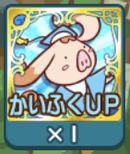 ���������꡼ No.014�Υ���ͥ������ / �֤פ襯���ס�����ǽ�֤��ޤ��������פ�֤�������ǥå��פʤɤ�����