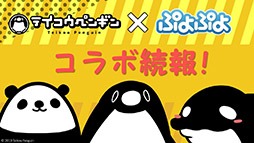 ���������꡼ No.007�Υ���ͥ������ / �֤פ襯���סߥ�������ܤ�6��23���˥������ȡ������˥������������ॷ���󥰡�PSO2�Υ���饯�����������о�