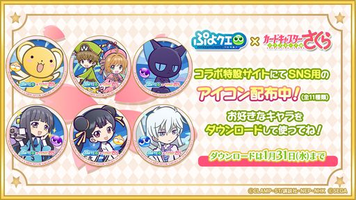 ���������꡼ No.010�Υ���ͥ������ / �֤פ襯���ס�TV���˥�֥����ɥ���ץ���������פȤΥ���ܥ��٥�Ȥ���������