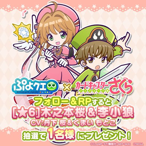 ���������꡼ No.011�Υ���ͥ������ / �֤פ襯���ס�TV���˥�֥����ɥ���ץ���������פȤΥ���ܥ��٥�Ȥ���������