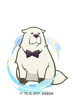 ꡼ No.005 | ֤פ襯ס˥SPYFAMILYפȤΥܤ828곫šܸꥭ餿Ͽꤪܥդо