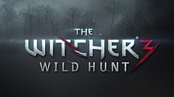 The Witcher 3: Wild Huntפͽ꤫٤2015ǯ2ȯ