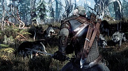 ꡼ No.007 | gamescom 2014ʤɤǥǥ˾Ҳ𤵤줿The Witcher 3: Wild HuntפΥࡼӡ