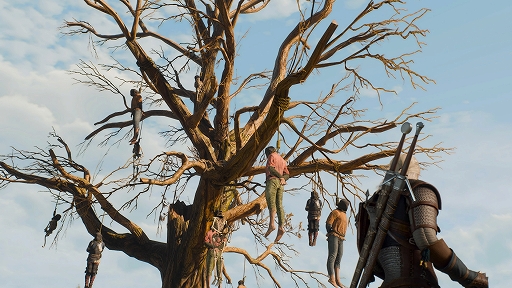 ꡼ No.003 | Υץ쥤ݡϡ֥å㡼3 磻ɥϥ ץ꡼ȥǥפǥȤιθǥå㡼ԶȤ