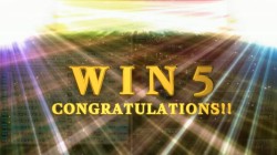 ꡼ No.029 | JAEPO2013ο륲ȯɽ줿֡ޤȤʥ륲ԡˡmaimaiڥ饤֡ץݡȤǺ