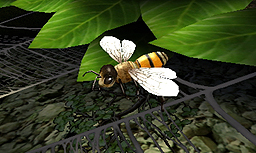 ���������꡼ No.007�Υ���ͥ������ / ��������᤬�꤬������GUILD02����2�ơ������֡פϡ��ߥ�����������⤬�������ã�������臘���ʡ��Ȥɤ�Ƚ�ɤʡ�GUILD01��Ϣư��ŵ����