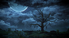 ���������꡼ No.035�Υ���ͥ������ / �֥����å��㡼3 �磻��ɥϥ�ȡפ�ȯ������2015ǯ2��26���˷��ꡣ���ܸ��ǤΥ��㥹�Ȥˤϻ�ϩ�¹�����������ػҤ���ã����